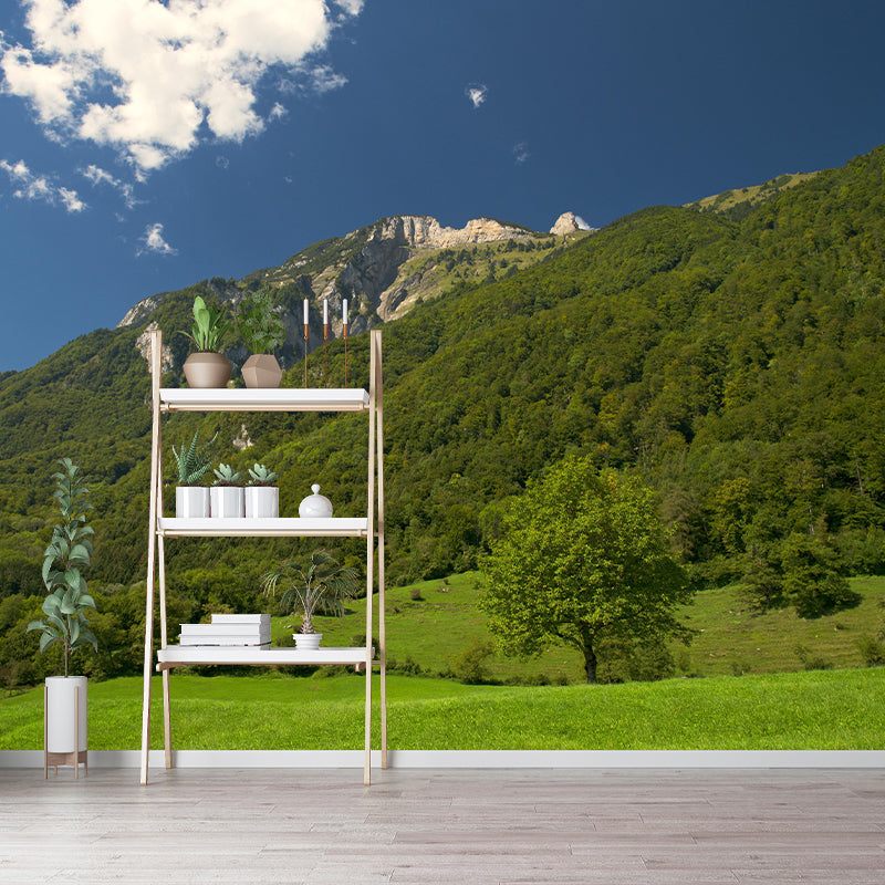 Mountain Scenery Wall Mural Modernism Style Wall Decoration for Study Room