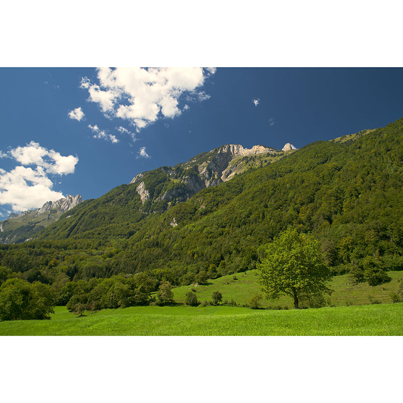 Mountain Scenery Wall Mural Modernism Style Wall Decoration for Study Room
