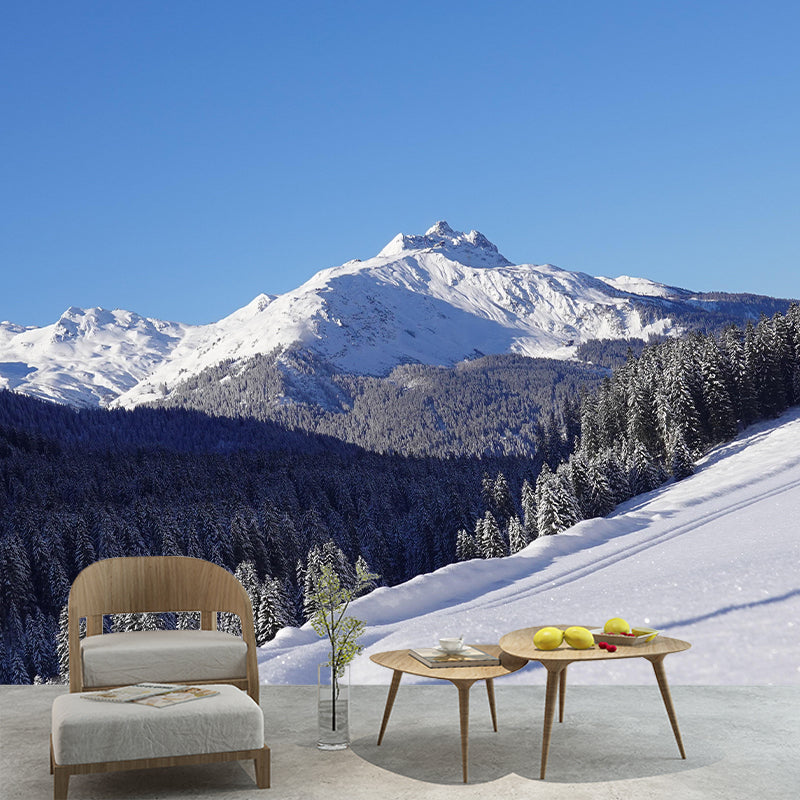 Mountain Scenery Wall Mural Modernism Style Wall Decoration for Study Room