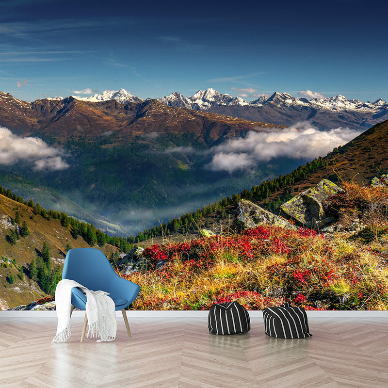 Mountain Landscapes Mural Contemporary Style Mildew Resistant Wall Covering