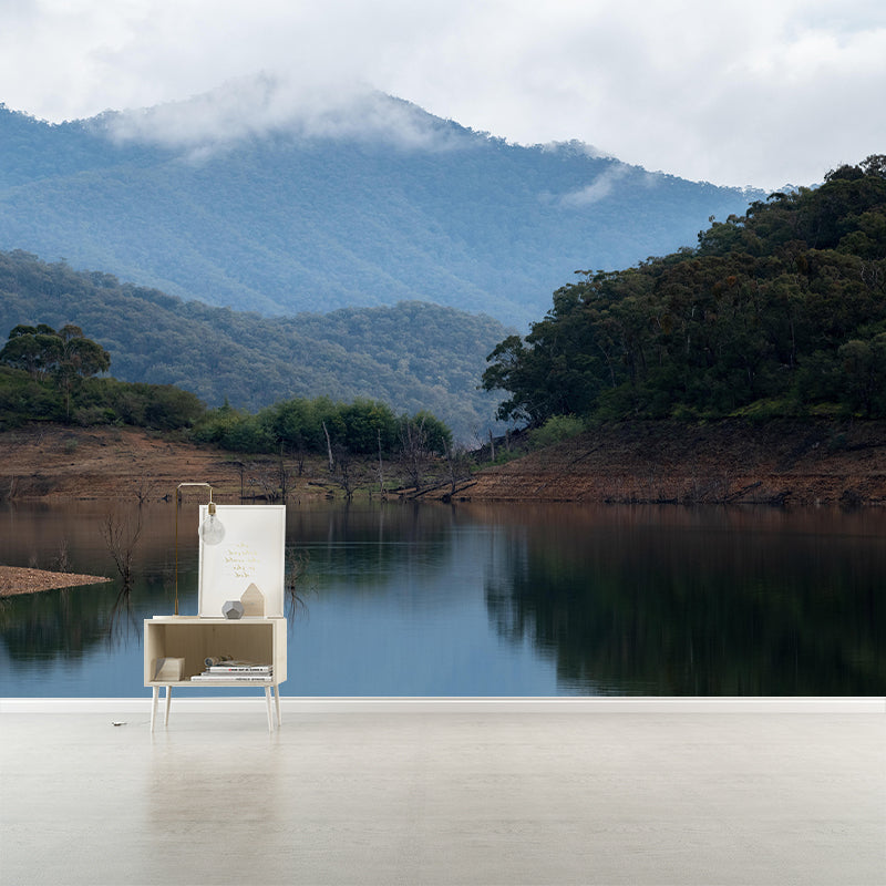 Mountain Landscapes Mural Contemporary Style Mildew Resistant Wall Covering