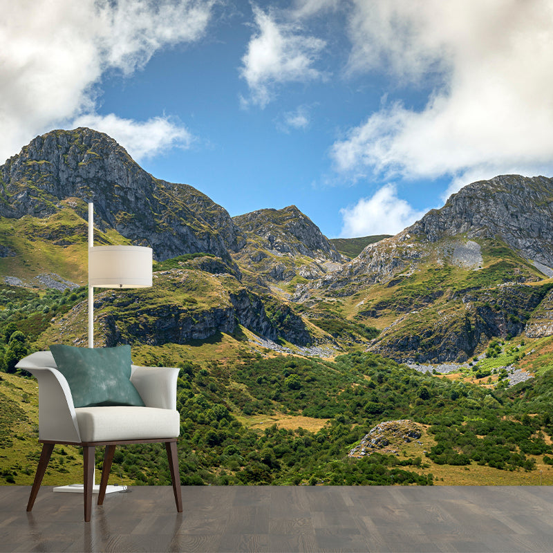 Mountain Landscapes Mural Contemporary Style Mildew Resistant Wall Covering