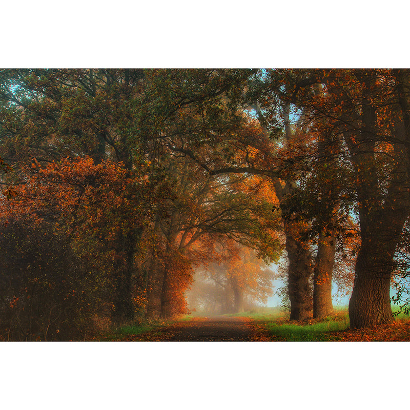 Forest Scenery Wall Mural Modernism Style Wall Decoration for Bedroom Kitchen