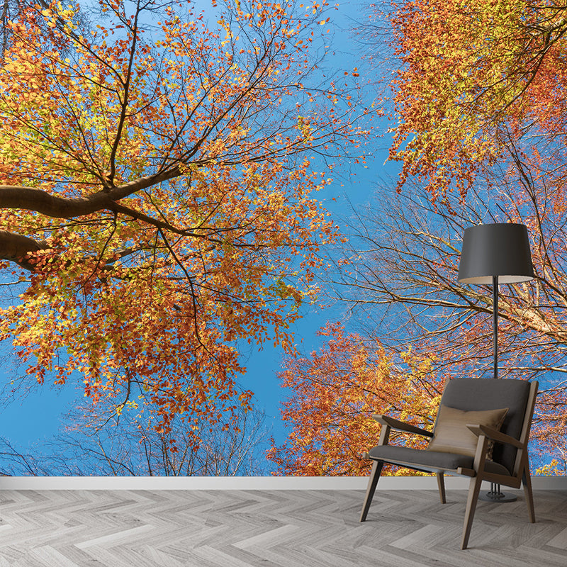 Forest Scenery Wall Mural Modernism Style Wall Decoration for Bedroom Kitchen