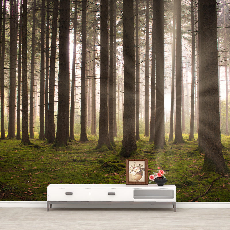 Forest Scenery Wall Mural Modernism Style Wall Decoration for Bedroom Kitchen