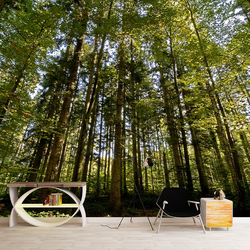 Forest Landscapes Mural Contemporary Mildew Resistant Wall Covering for Dining Room