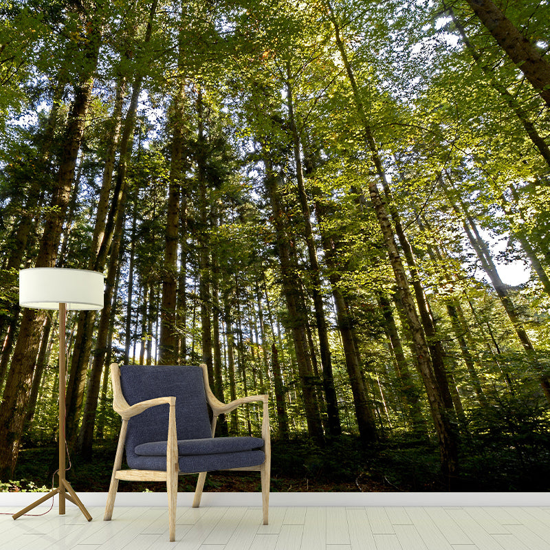 Forest Landscapes Mural Contemporary Mildew Resistant Wall Covering for Dining Room