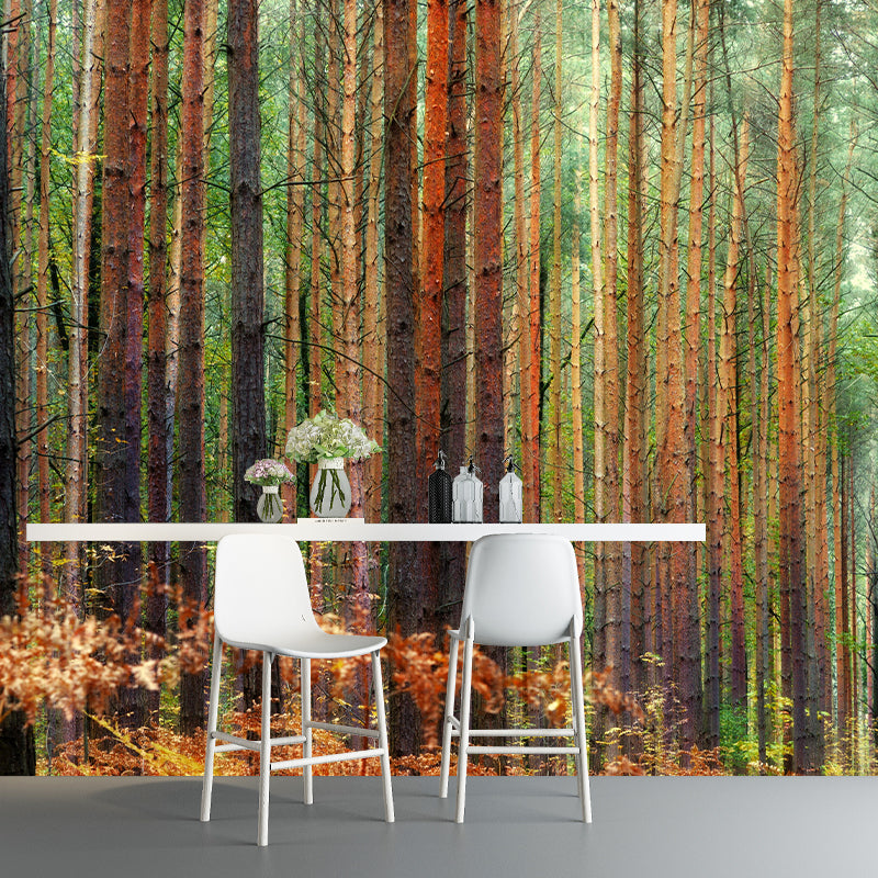 Customized Forest Scenery Wall Mural Mildew Resistant for Living Room Decor