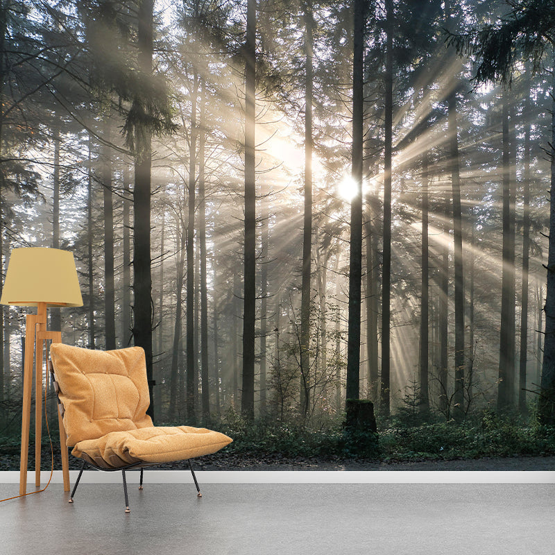 Forest Landscapes Mural Contemporary Mildew Resistant Wall Covering for Bathroom