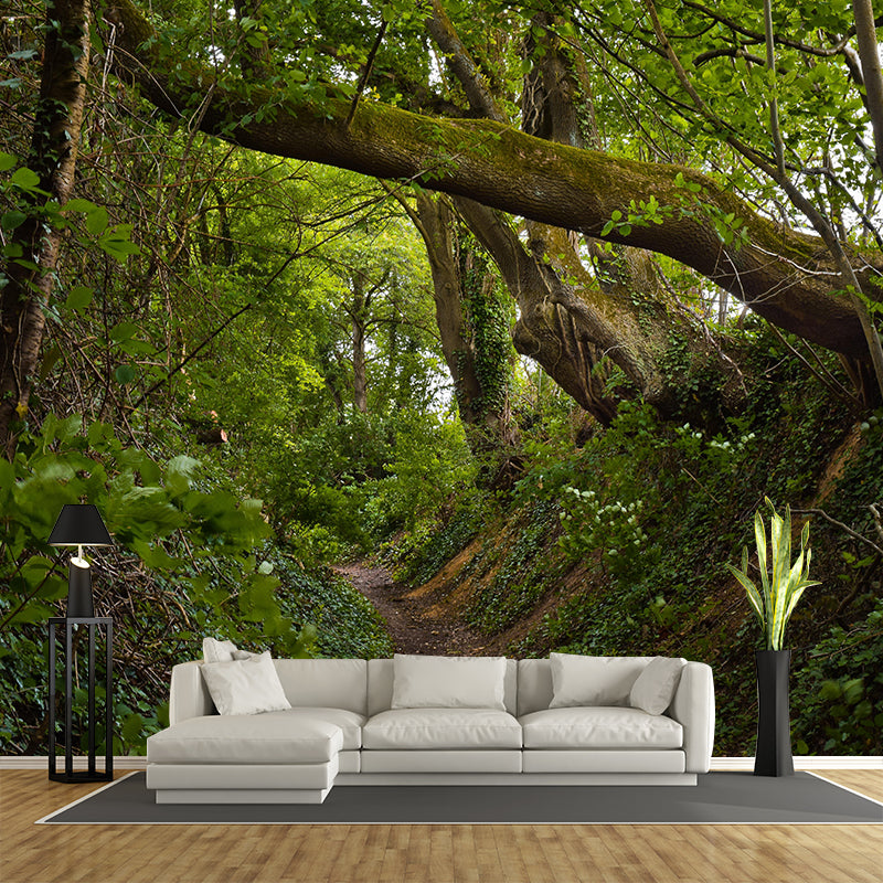 Forest Landscapes Mural Contemporary Mildew Resistant Wall Covering for Bathroom