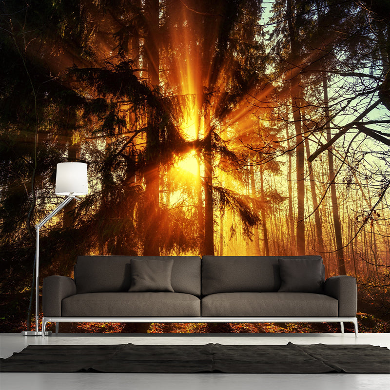 Forest Landscapes Mural Contemporary Mildew Resistant Wall Covering for Bathroom