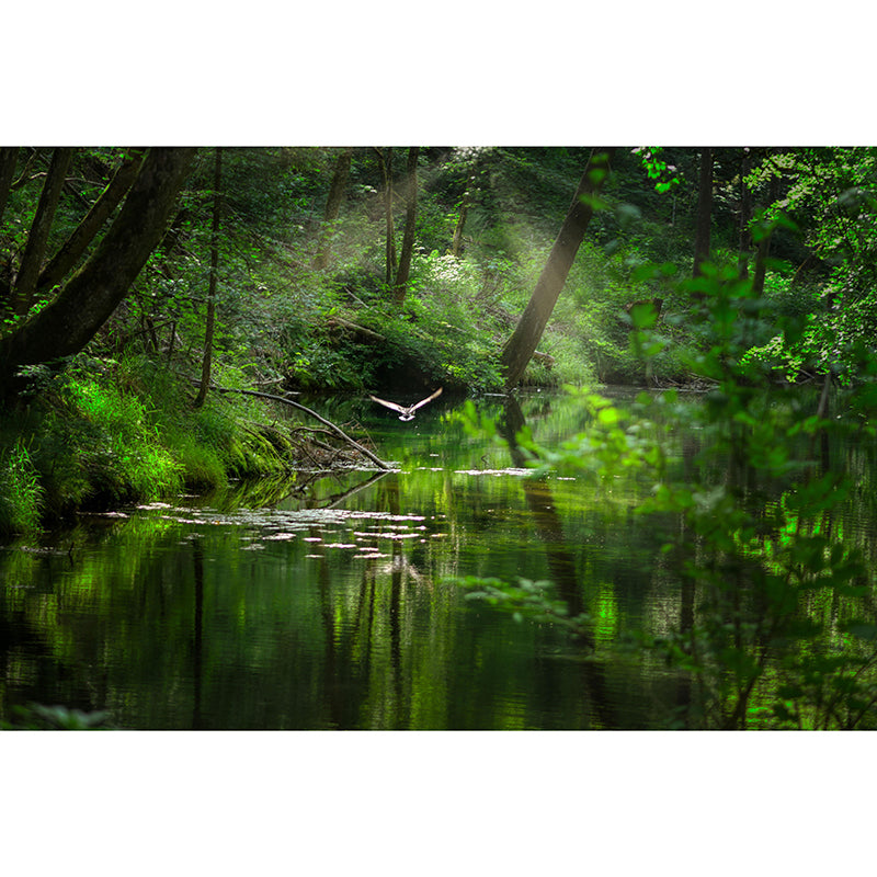 Forest Scenery Wall Mural Modernism Style Wall Decoration for Living Room