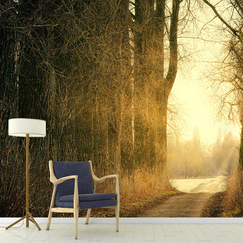 Forest Wall Mural Horizontal Photography Eco-friendly Wall Covering for Decoration