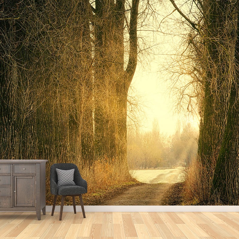 Forest Wall Mural Horizontal Photography Eco-friendly Wall Covering for Decoration