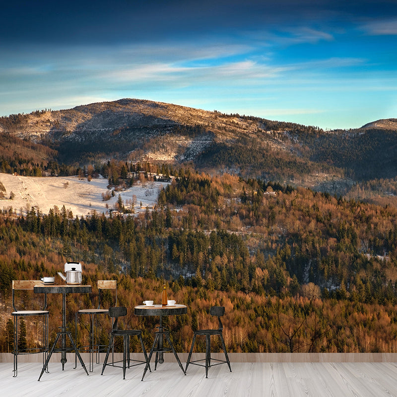 Forest Wall Mural Horizontal Photography Eco-friendly Wall Covering for Decoration