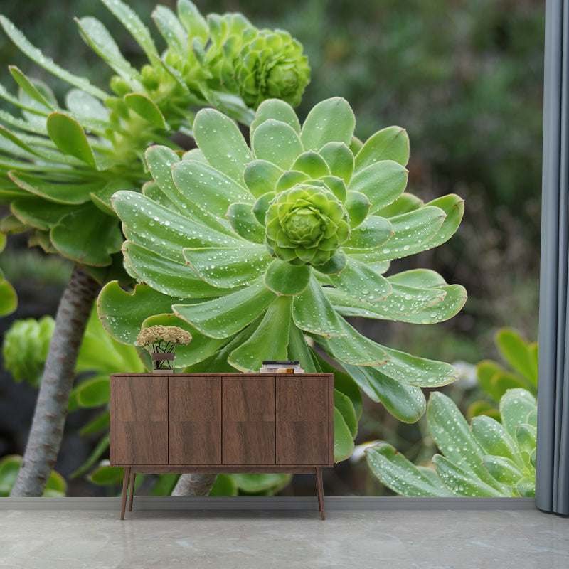 Common Plant Mural for Living Room Reading Room Decoration, Water Resistant