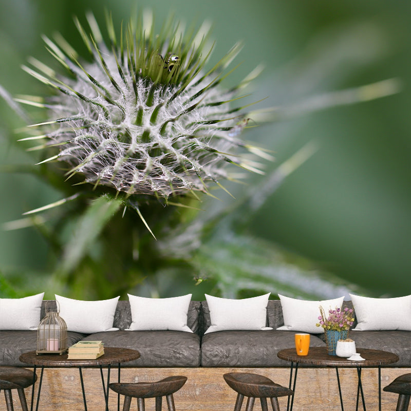 Cirsium Plant Wall Mural for Reading Room Decoration, Moisture Resistant