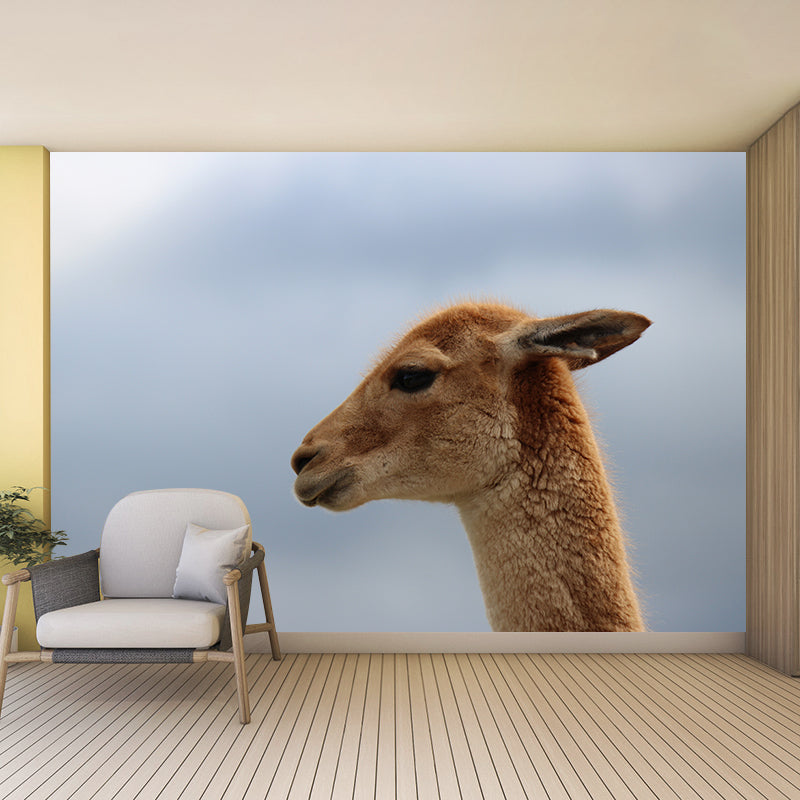 Alpaca Animal Wall Mural for Living Room, Moisture Resistant, Made to Measure