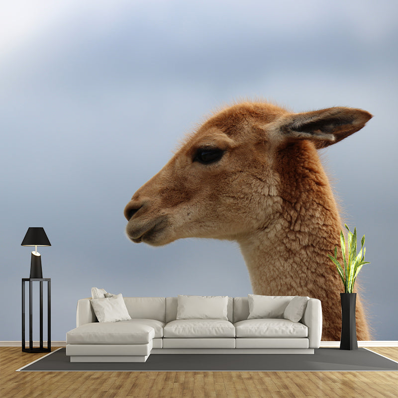 Alpaca Animal Wall Mural for Living Room, Moisture Resistant, Made to Measure