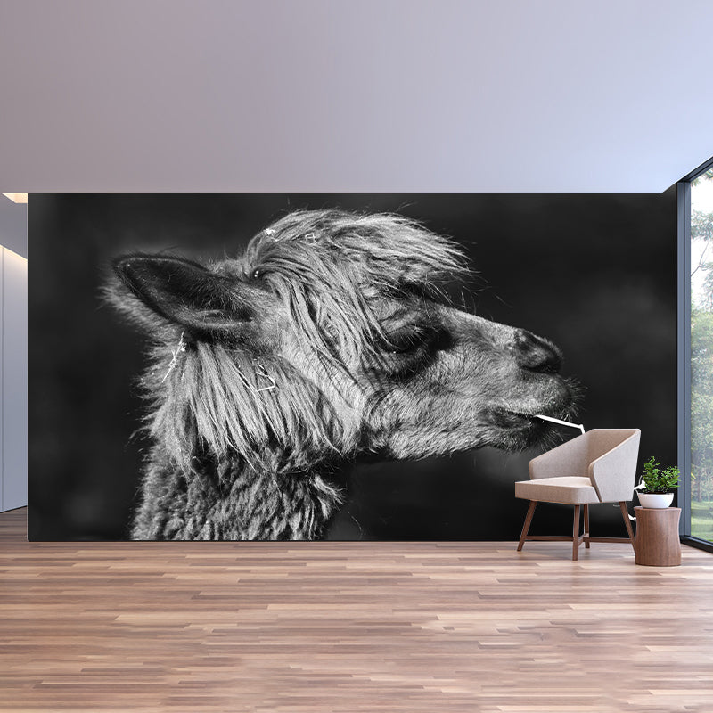 Alpaca Animal Wall Mural for Living Room, Moisture Resistant, Made to Measure