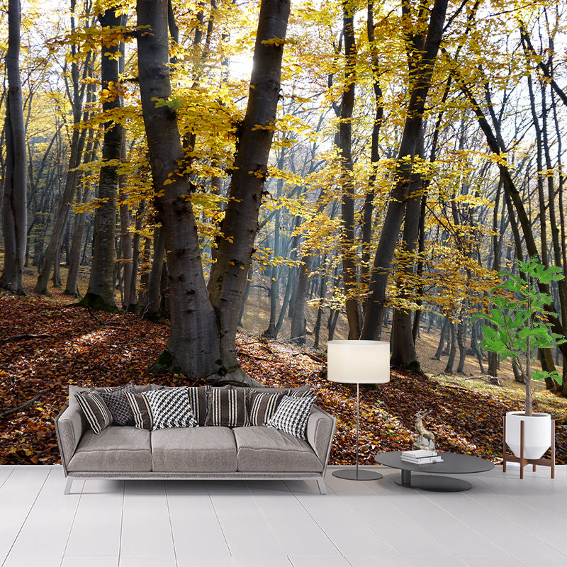 Forest Wall Mural for Sitting Room Bedroom Home Decor, Made to Measure