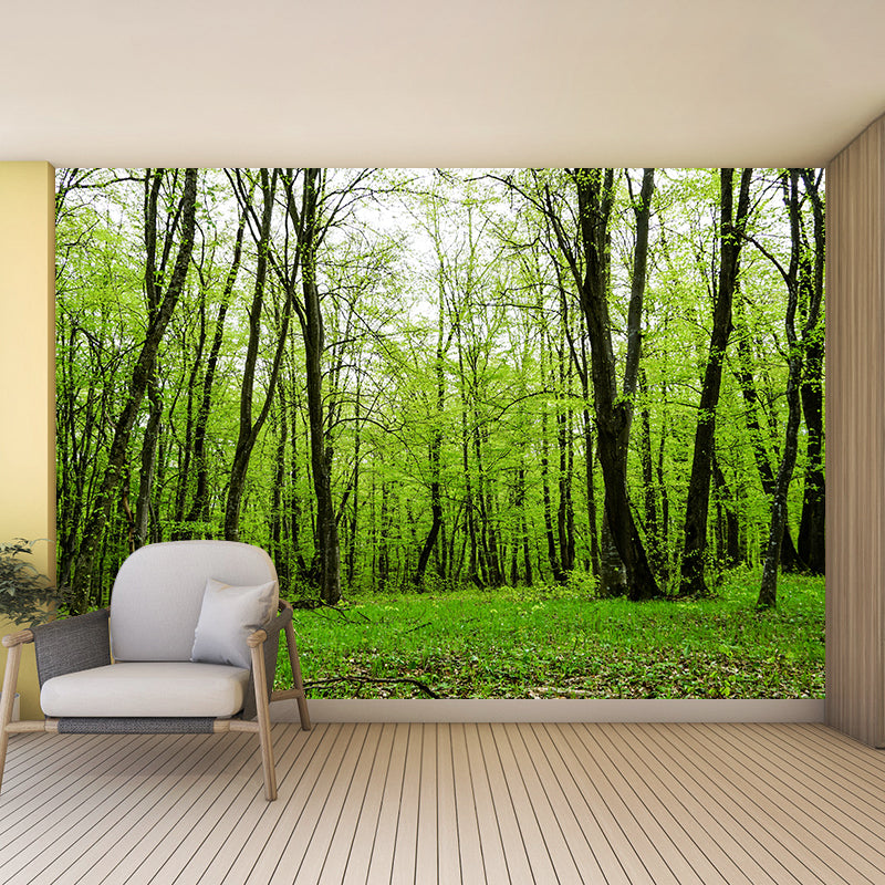 Forest Wall Mural for Sitting Room Bedroom Home Decor, Made to Measure