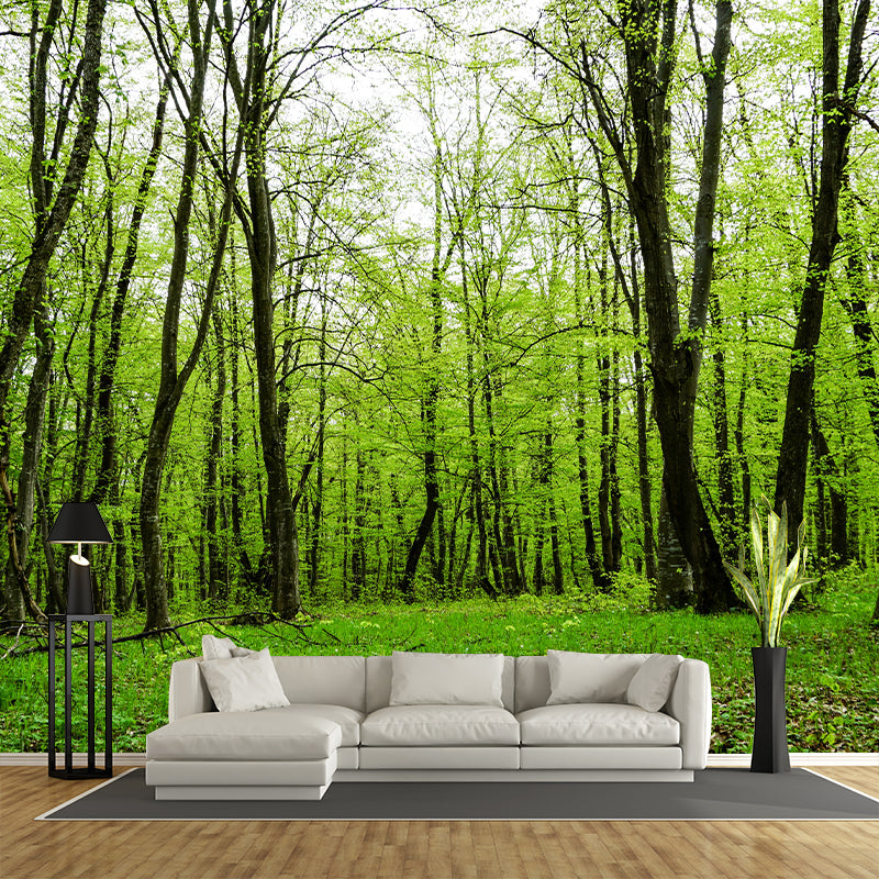 Forest Wall Mural for Sitting Room Bedroom Home Decor, Made to Measure