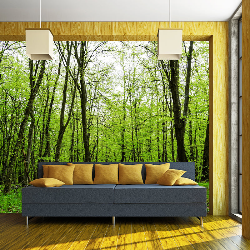 Forest Wall Mural for Sitting Room Bedroom Home Decor, Made to Measure