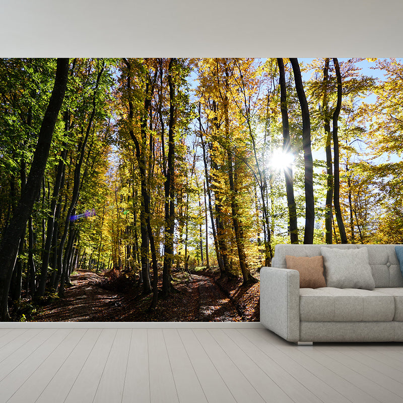 Forest Wall Mural for Sitting Room Bedroom Home Decor, Made to Measure