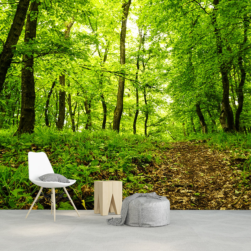 Modern Forest Trees Wall Mural for Sitting Room Bedroom Home Decor, Made to Measure