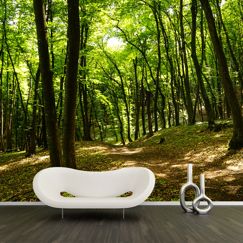 Modern Forest Trees Wall Mural for Sitting Room Bedroom Home Decor, Made to Measure