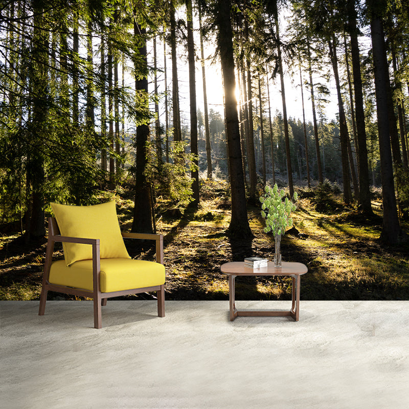 Forest Trees Mural Wallpaper, Stain Resistant Wall Decor for Kitchen Dining Room