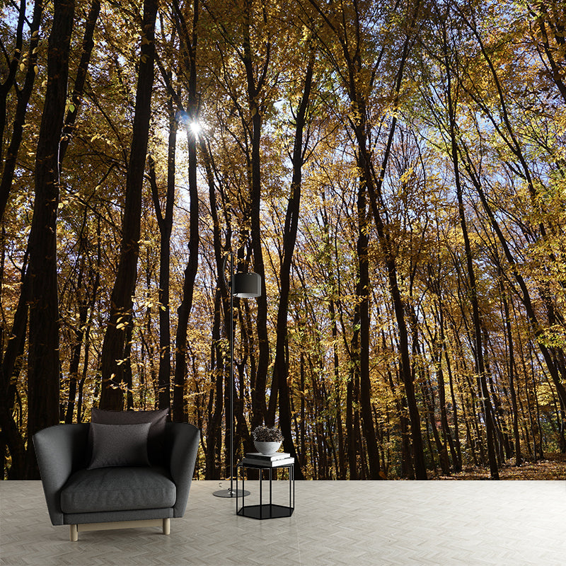 Forest Trees Mural Wallpaper, Stain Resistant Wall Decor for Kitchen Dining Room