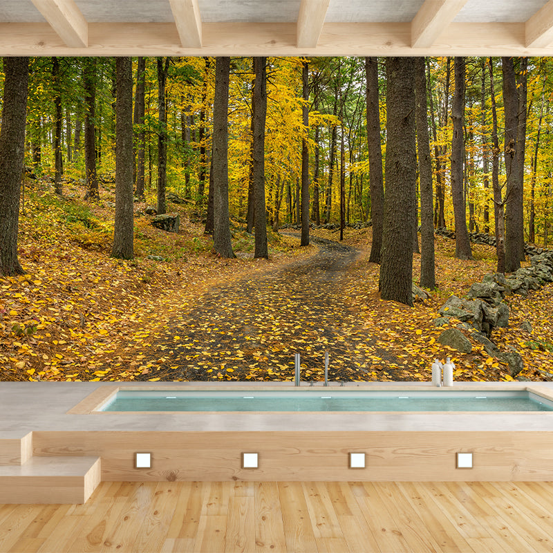 Autumn Forest Trees Wall Mural for Sitting Room Bedroom Home Decor, Made to Measure