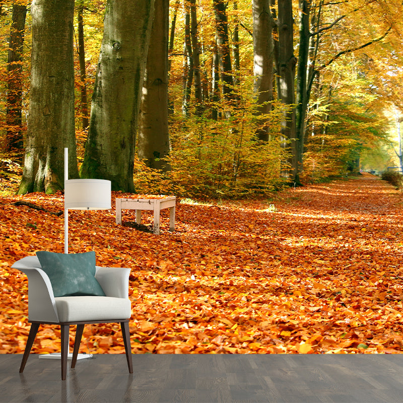Autumn Forest Trees Wall Mural for Sitting Room Bedroom Home Decor, Made to Measure