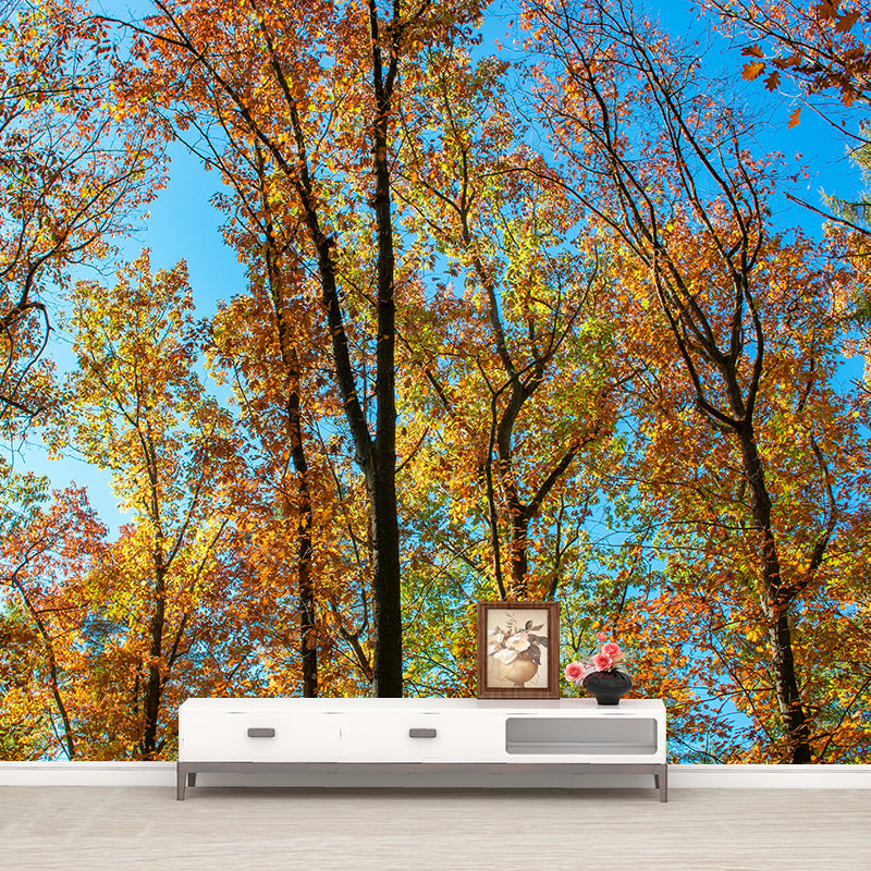 Autumn Forest Trees Wall Mural for Sitting Room Bedroom Home Decor, Made to Measure
