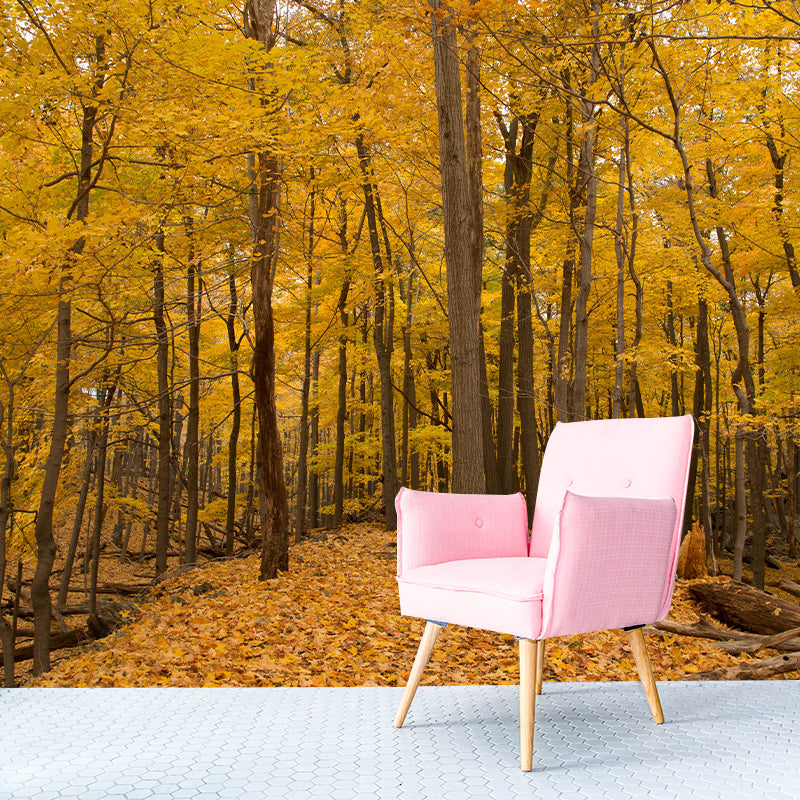 Autumn Forest Trees Wall Mural for Sitting Room Bedroom Home Decor, Made to Measure