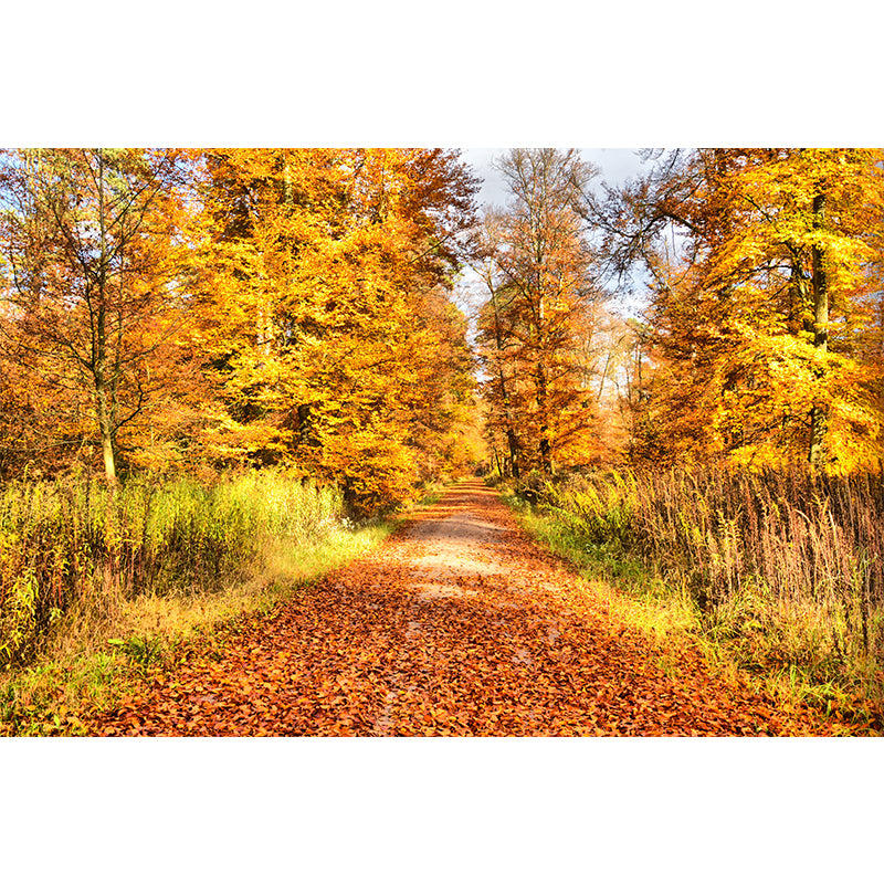 Forest Yellow Trees Customized Wall Covering for Sitting Room, Moisture Resistant