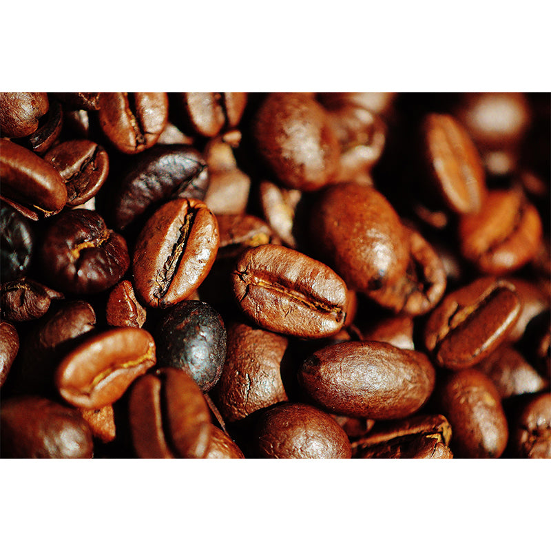 Coffee Beans Mural Wallpaper Eco-friendly for Coffee Shop Wall Covering