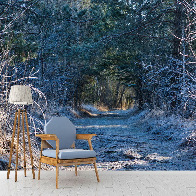 Soft Color 3D Art Illusion Mural Wallpaper Moisture Resistant for Reading Room