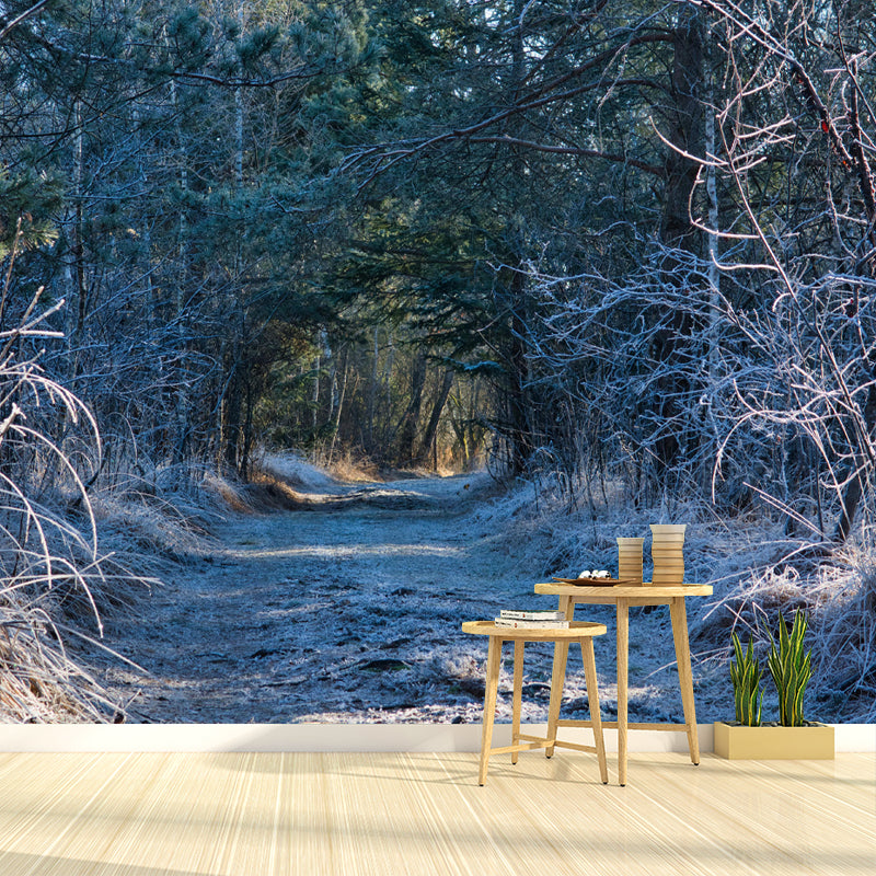 Soft Color 3D Art Illusion Mural Wallpaper Moisture Resistant for Reading Room