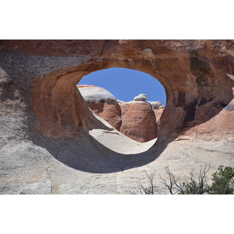 Full Size Wall Mural Decal 3D Art Illusion Wall Decor for Reading Room