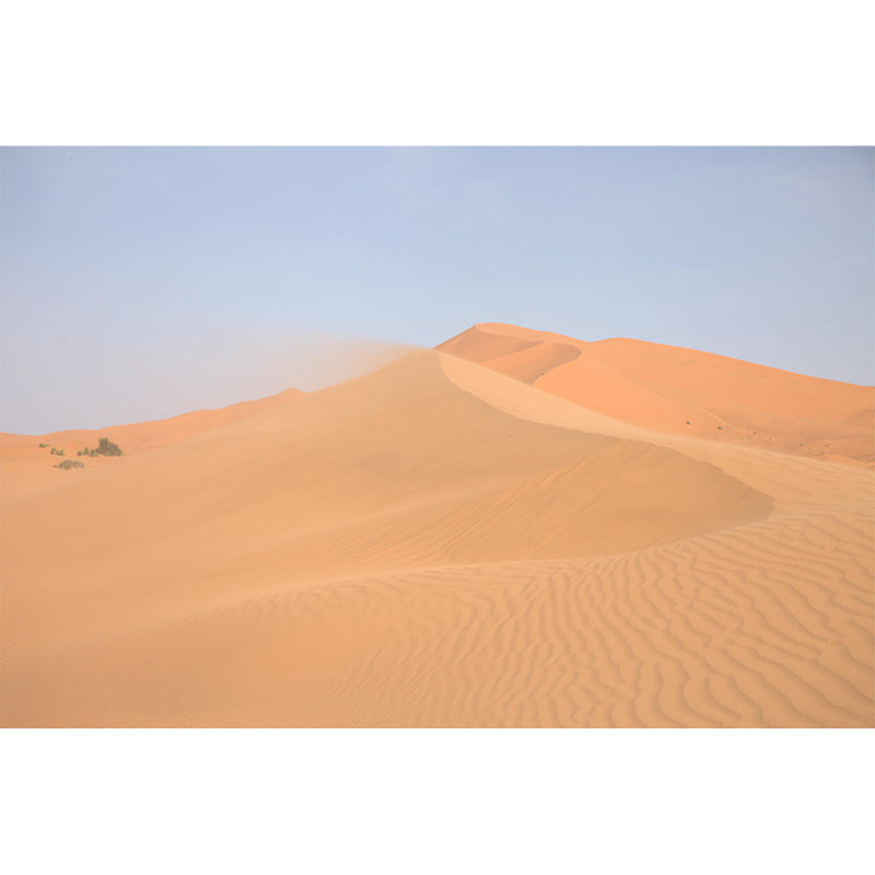 Customized Contemporary Style Desert Mural Environment Friendly for Home Decor