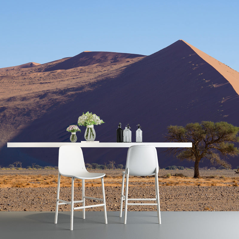 Soft Color Desert Mural Decal Nature Scenery Modern Mildew Resistant Wall Art