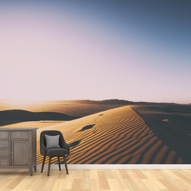 Customized Contemporary Style Desert Mural Environment Friendly for Sitting Room