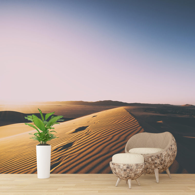 Customized Contemporary Style Desert Mural Environment Friendly for Sitting Room