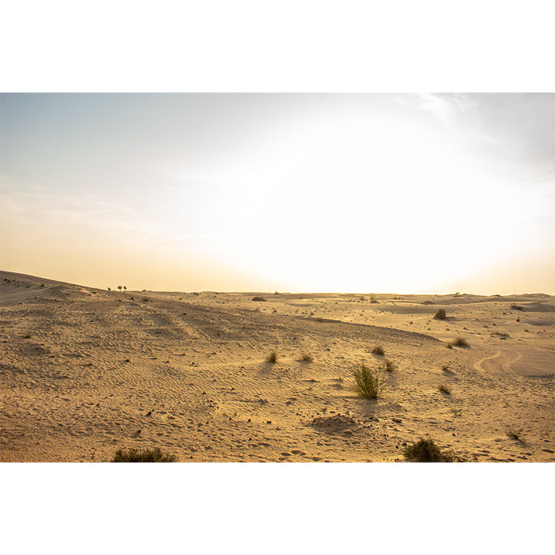 Abroad Sand Dune Mural for Bedroom Mildew Resistant Desert Landscape Wall Decor