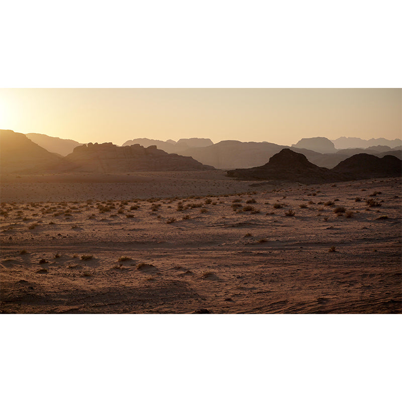 Customized Contemporary Style Desert Mural Environment Friendly for Living Room