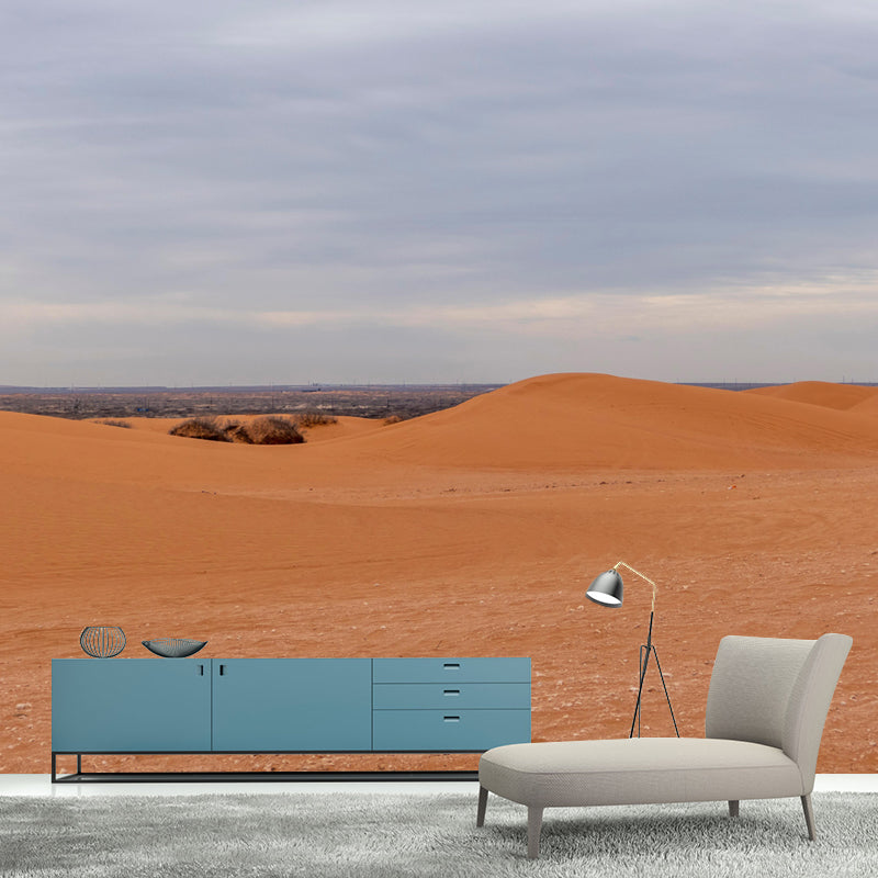 Customized Contemporary Style Desert Mural Environment Friendly for Living Room