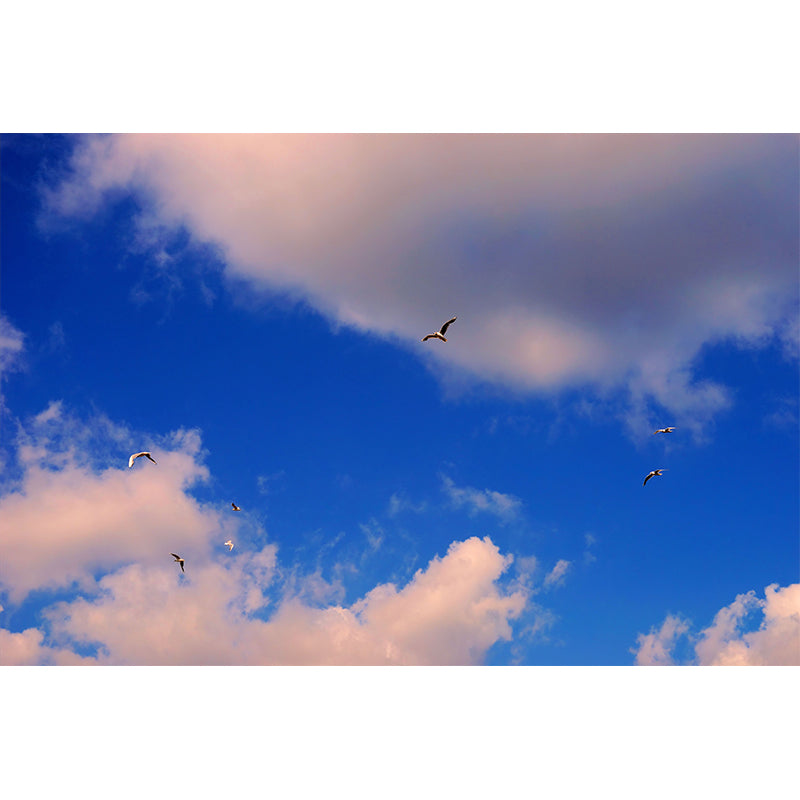 Beautiful Cloudscape Wall Covering Murals for Sleeping Room, Moisture Resistant